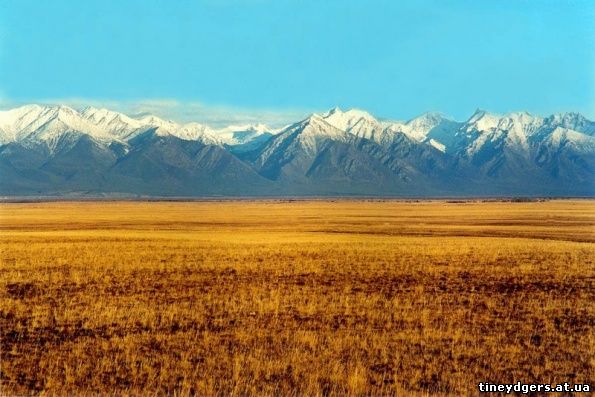 Реферат: Баргузинский заповедник